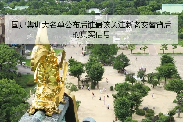 国足集训大名单公布后谁最该关注新老交替背后的真实信号